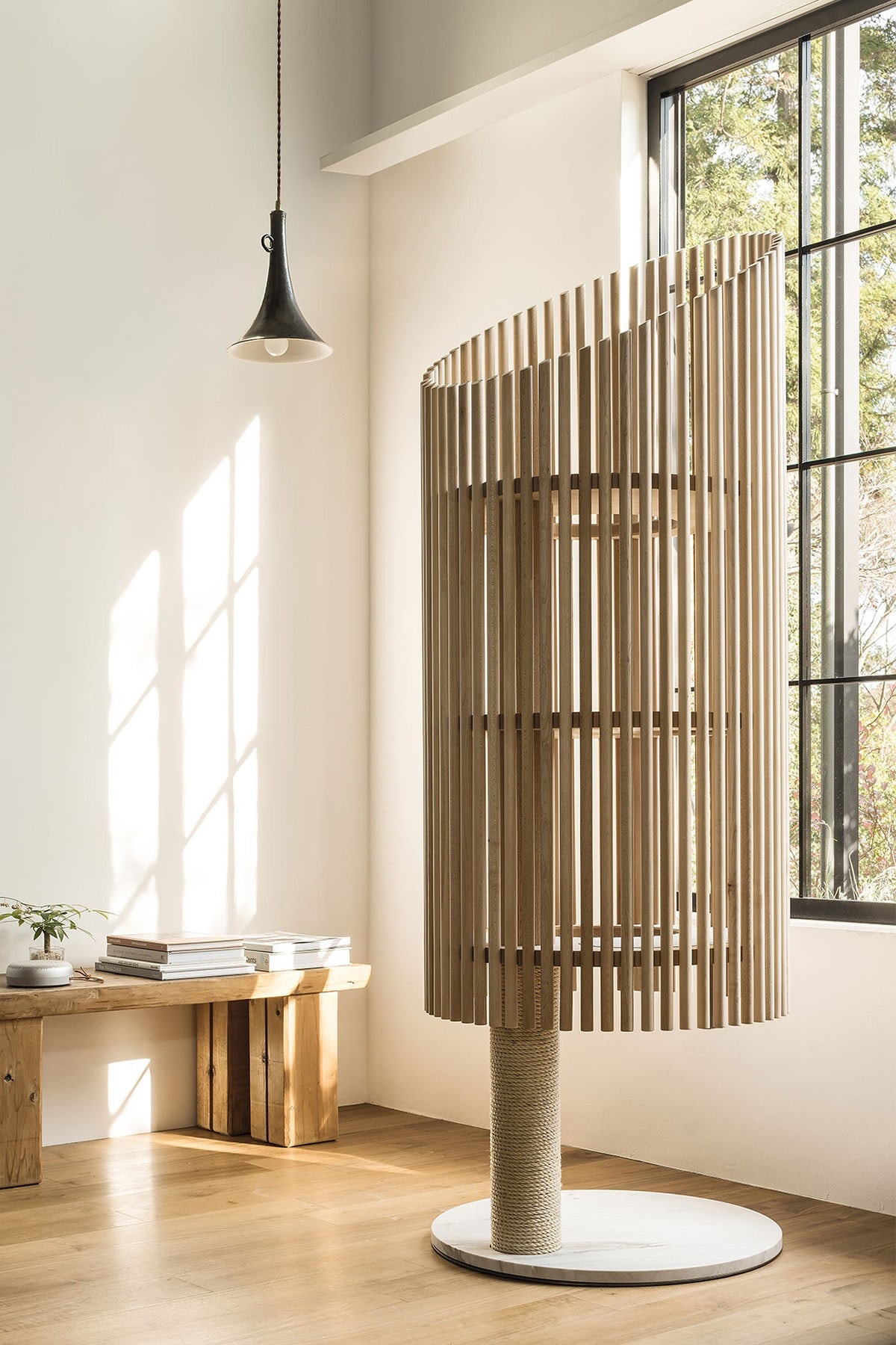 cat，Pets，furniture，Minimalism，