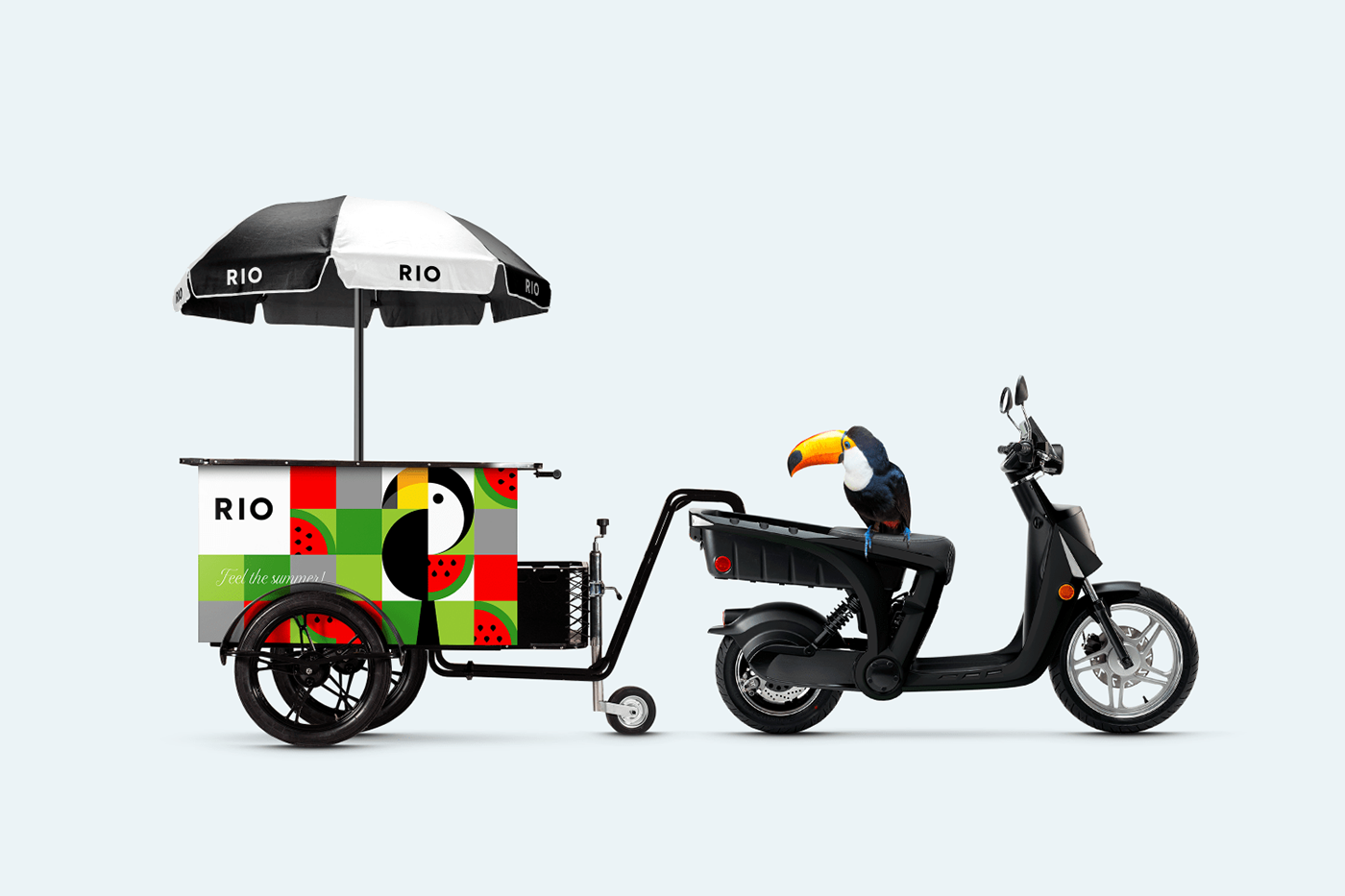 Rio ice cream，RIO ICE CREAM，Rio de Janeiro，packing，Toucan，