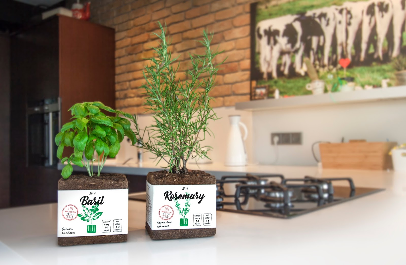 2018 red dot design concept award，Ecological Packaging，LIFI，packing，Herbal seeds，