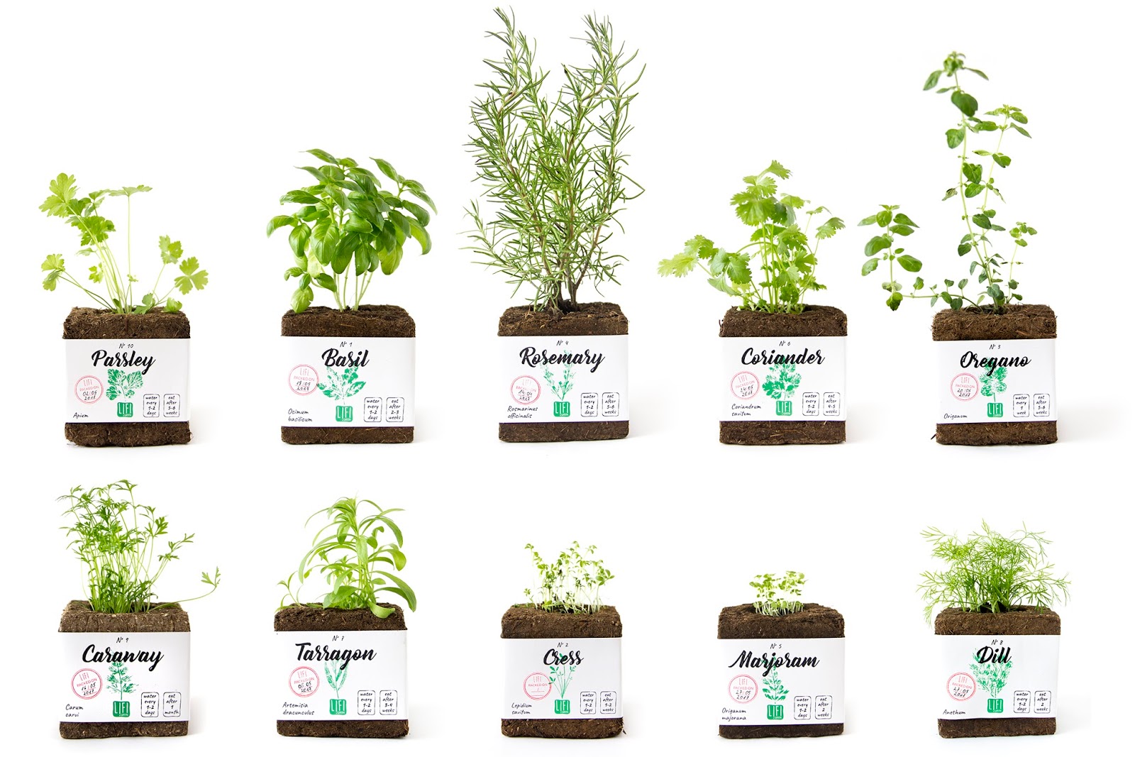 2018 red dot design concept award，Ecological Packaging，LIFI，packing，Herbal seeds，