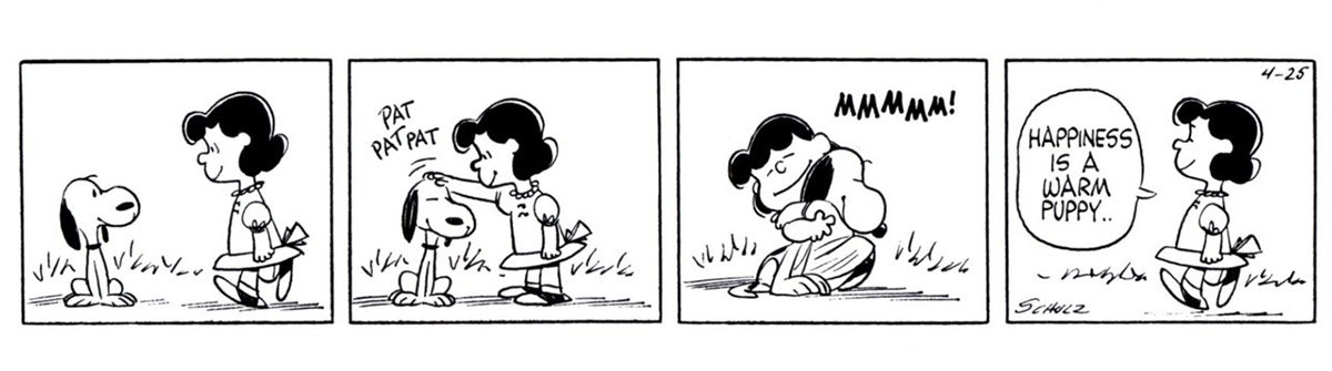 travel，package，Design，case，Portable，