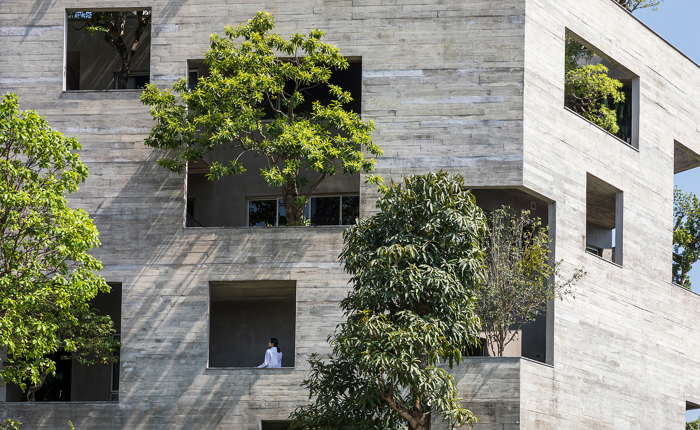 villa，forest，tree，sustainable development，