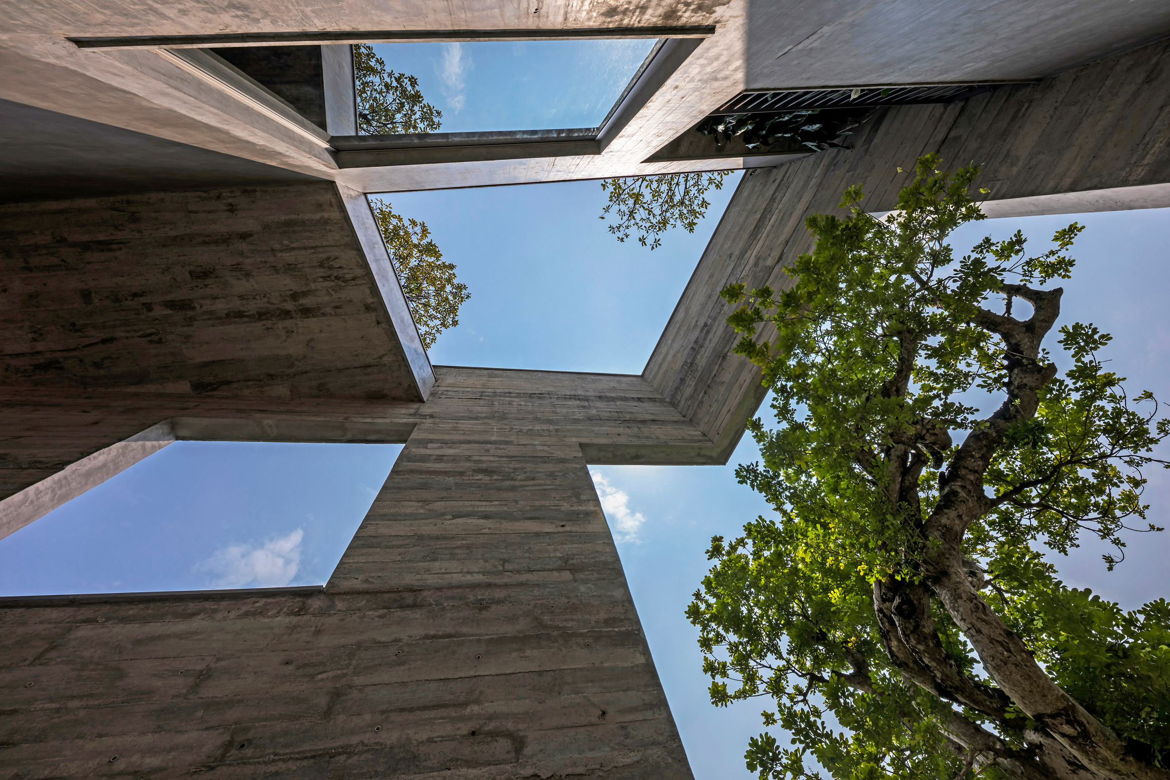 villa，forest，tree，sustainable development，