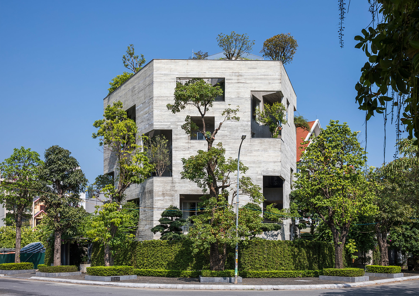 villa，forest，tree，sustainable development，