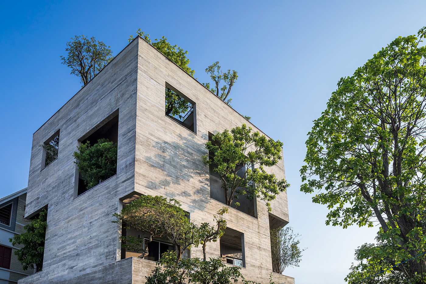 villa，forest，tree，sustainable development，
