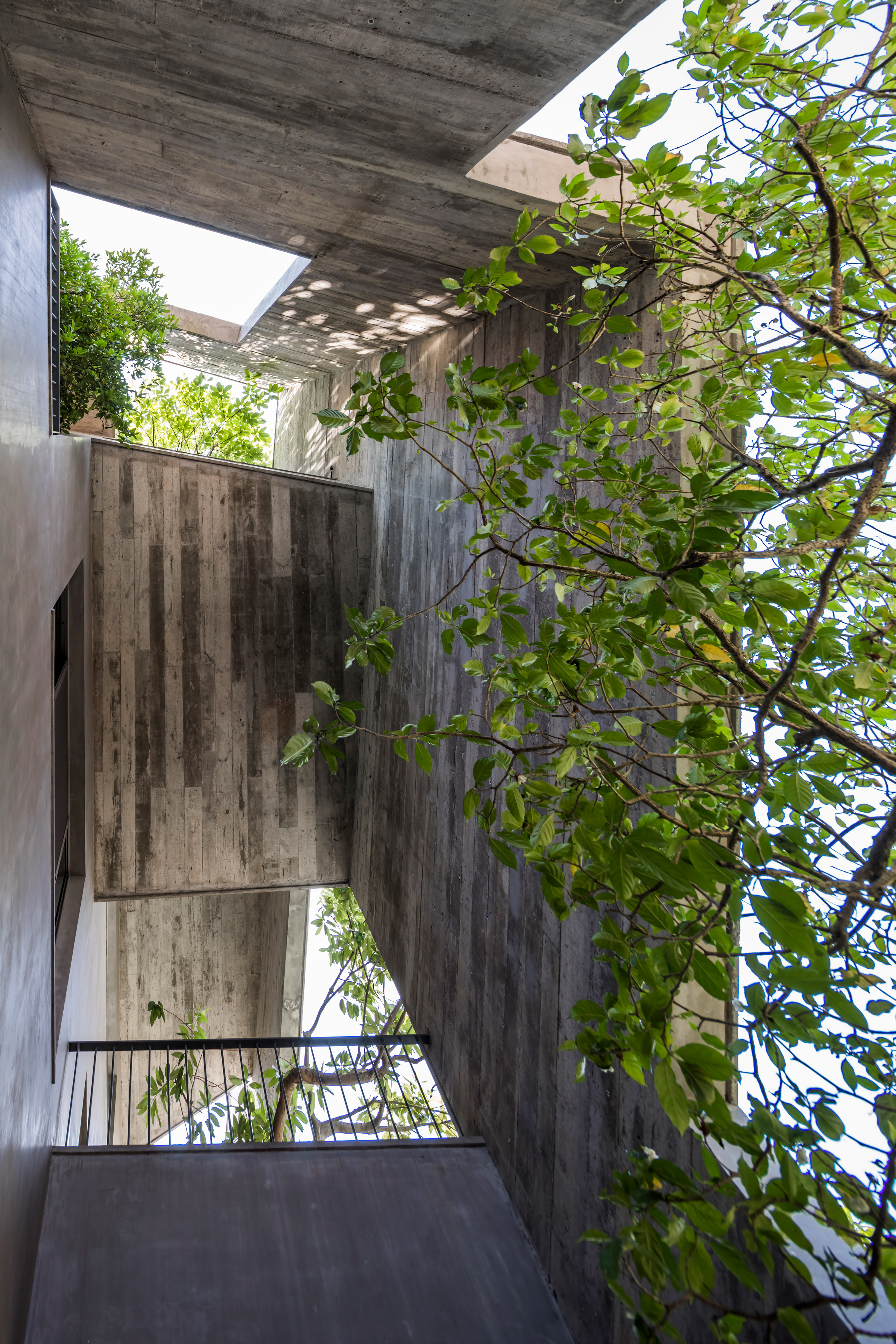 villa，forest，tree，sustainable development，