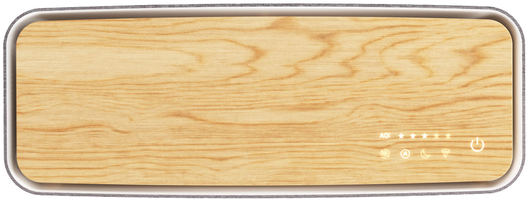 air cleaner，HEPA filter，virus，ionization，