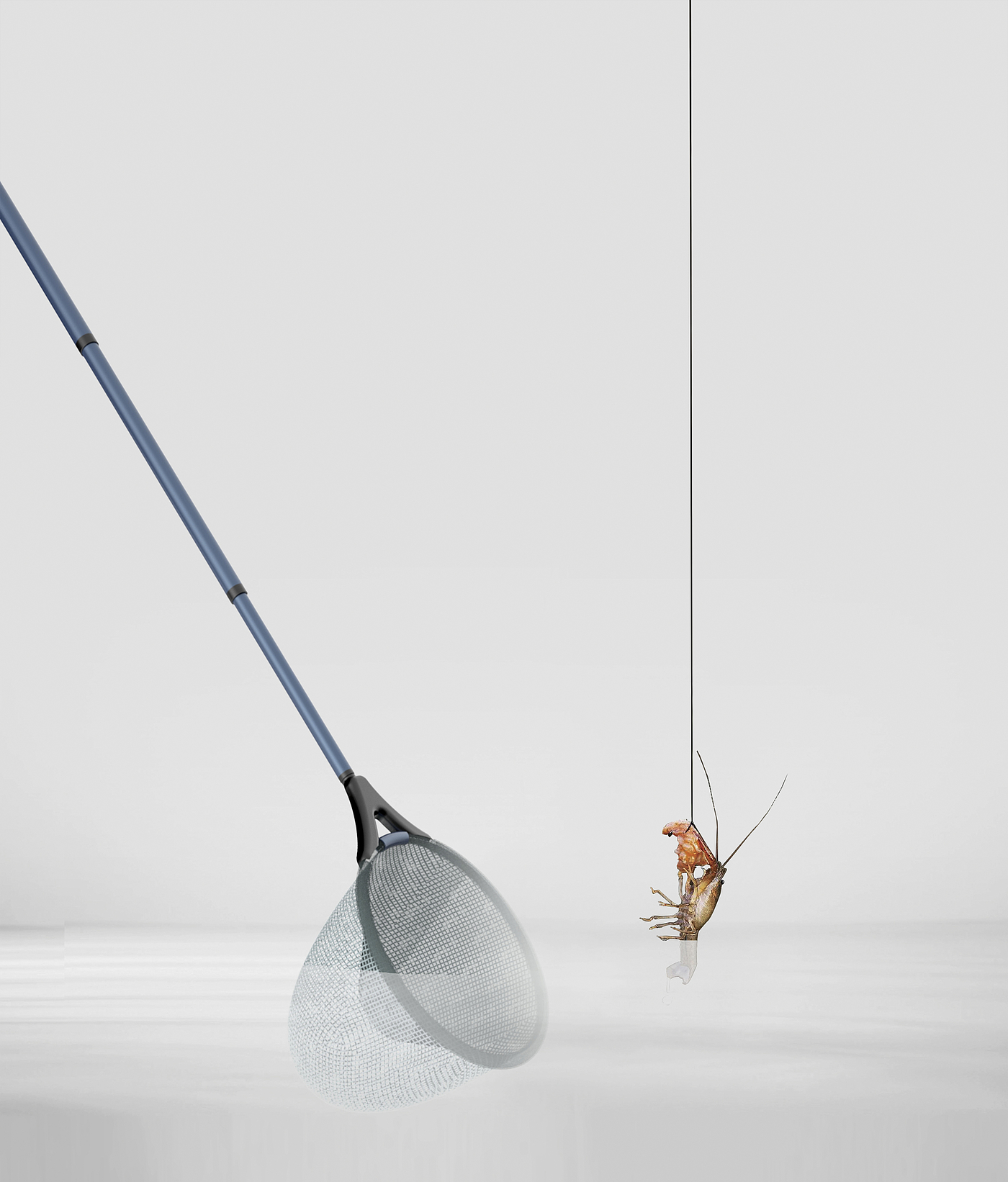 2018 red dot design concept award，Shrimping Net，shrimp，Shrimp net，