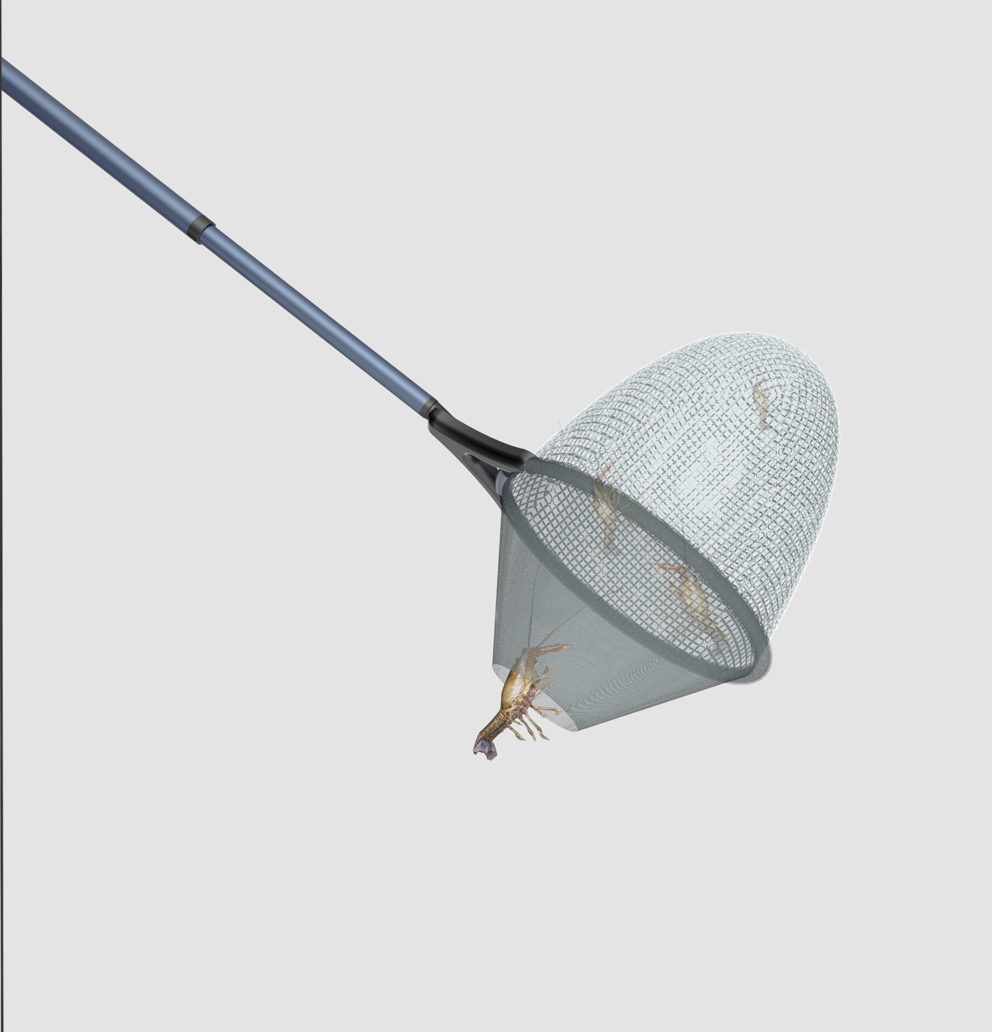 2018 red dot design concept award，Shrimping Net，shrimp，Shrimp net，