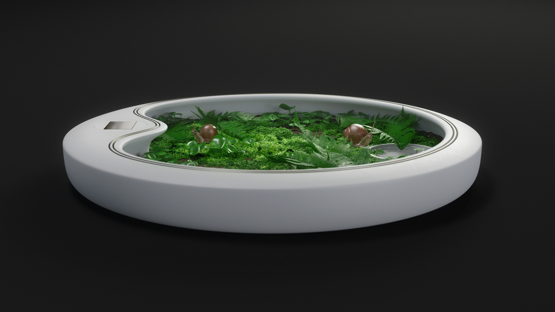 snail，container，electric current，Exposure，