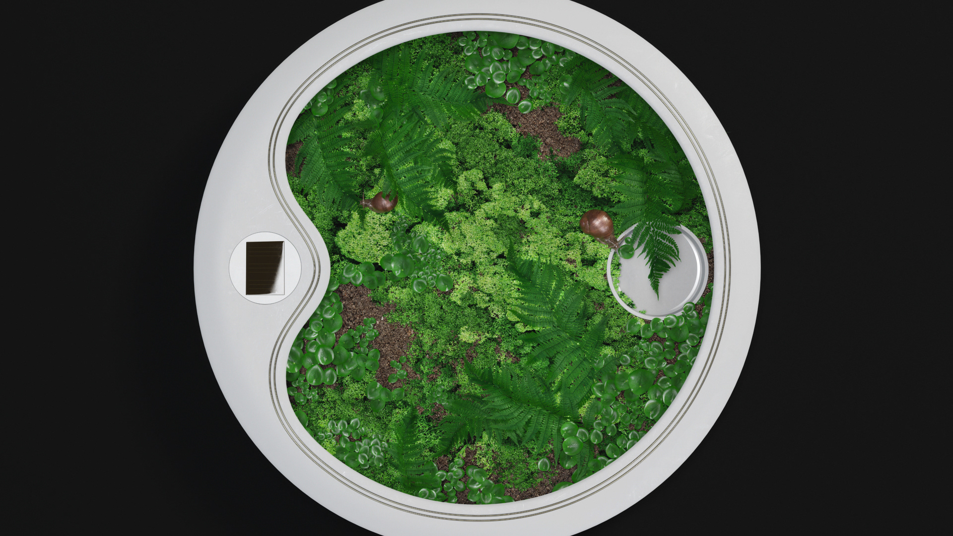 snail，container，electric current，Exposure，