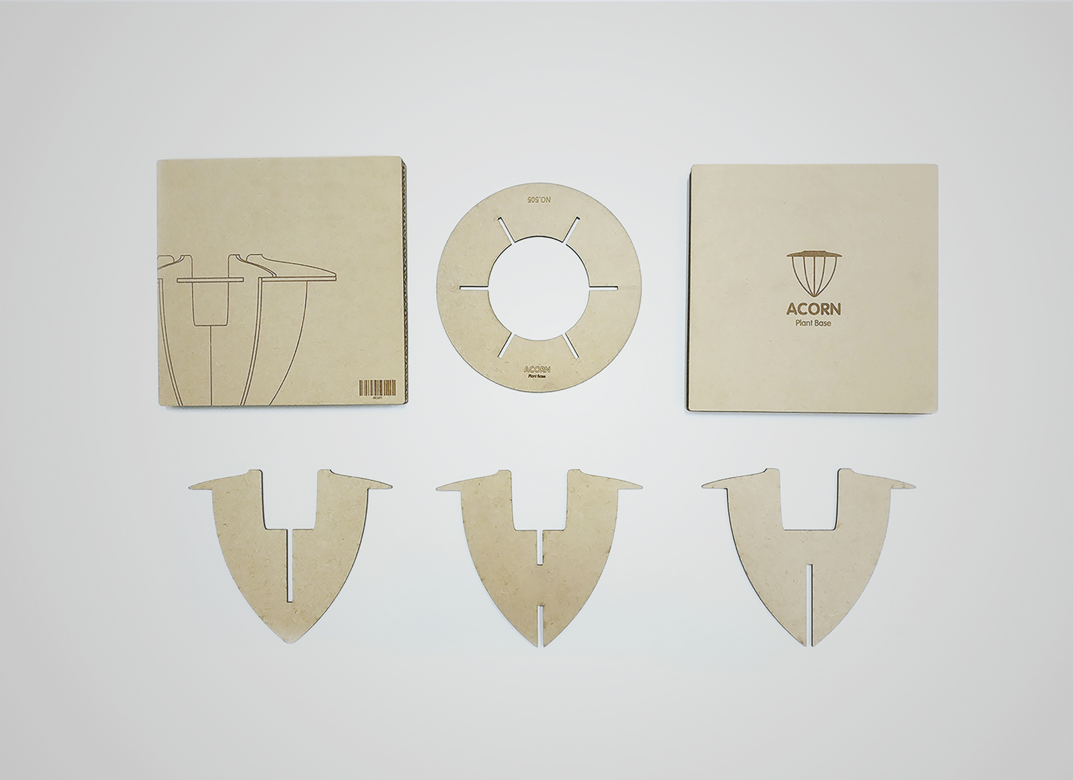 2018 red dot design concept award，Acorn，water content，Botany，