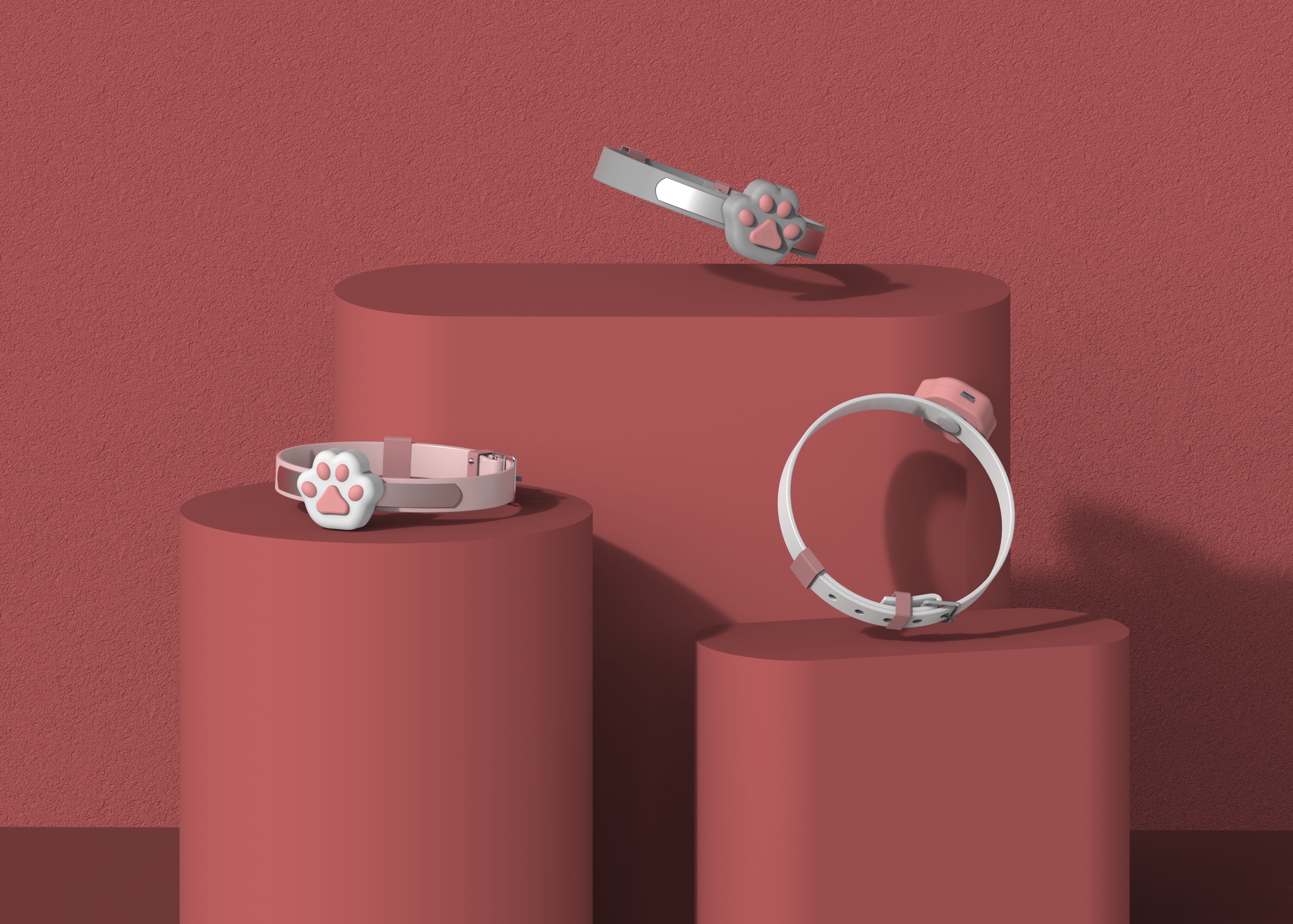 Pets，Kitty，location，a collar for a horse，