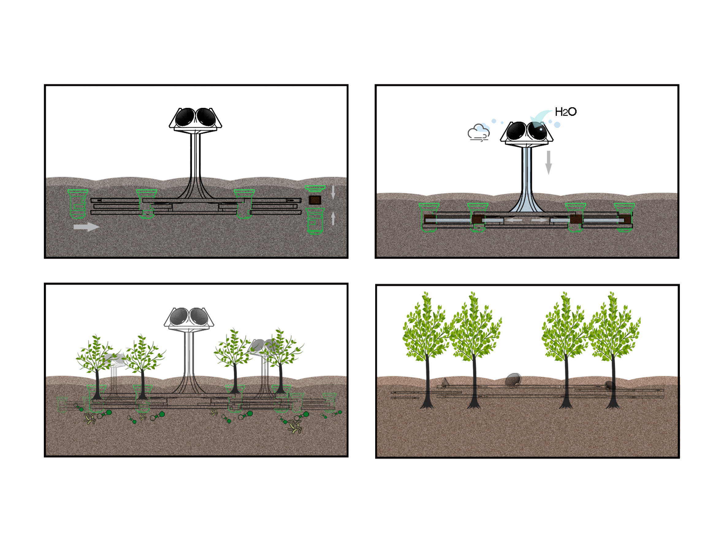 Botany，environment，plant，Ecological restoration，mining area，