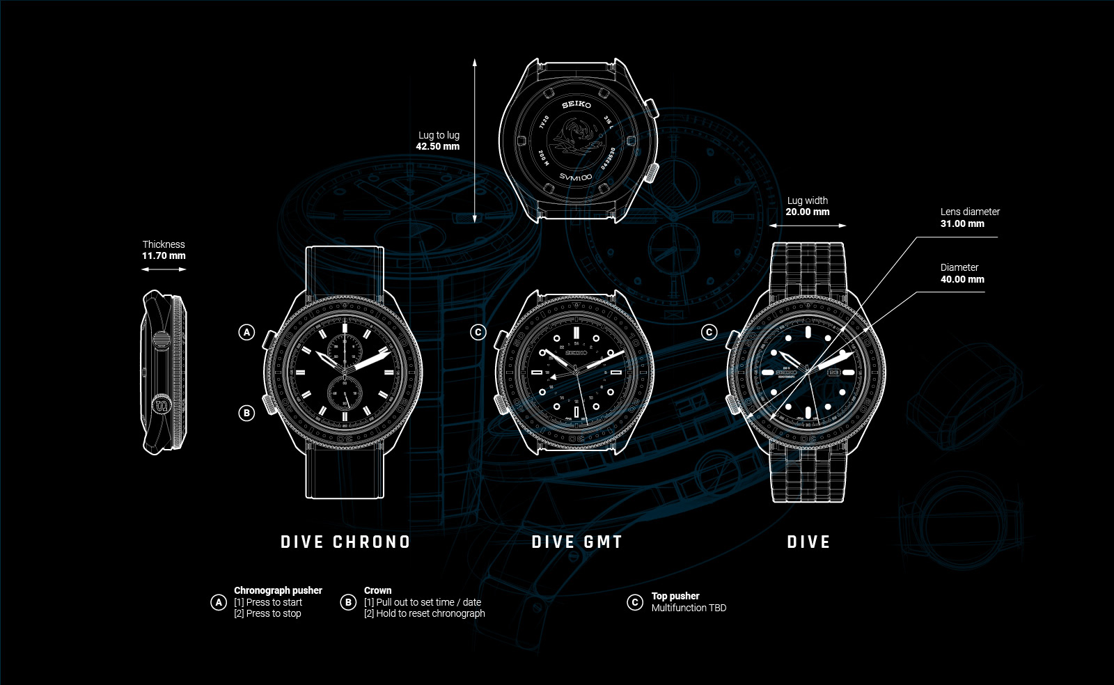surface，concept，diving，Marin，