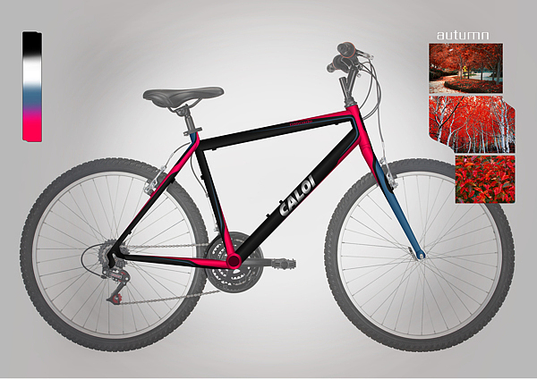 Bicycle，vehicle，vehicle，