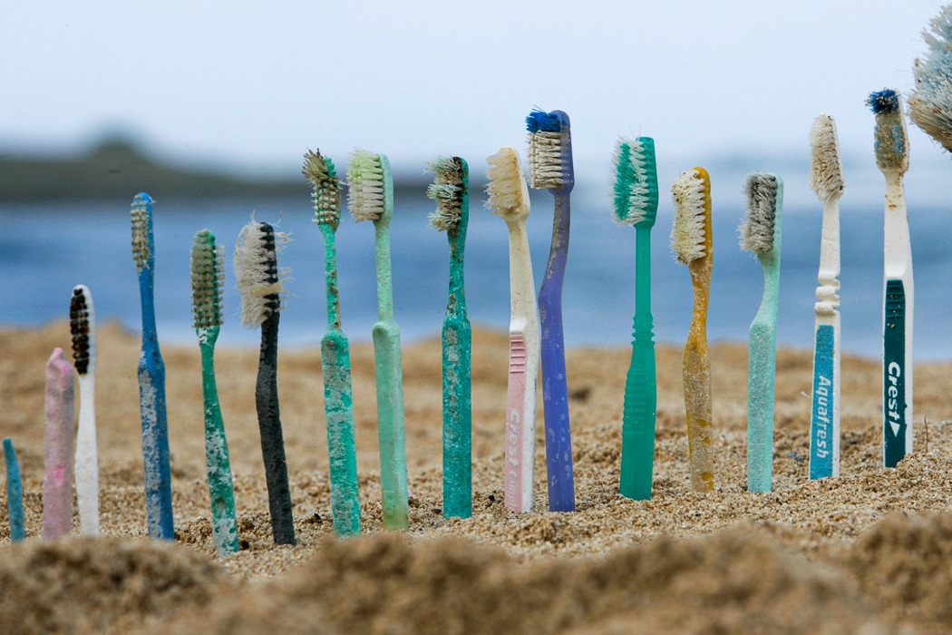 toothbrush，Reset，biodegradation，