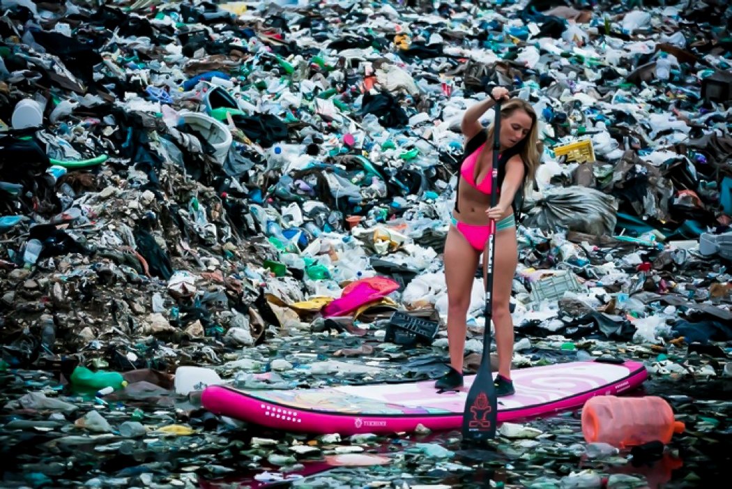 toothbrush，Reset，biodegradation，