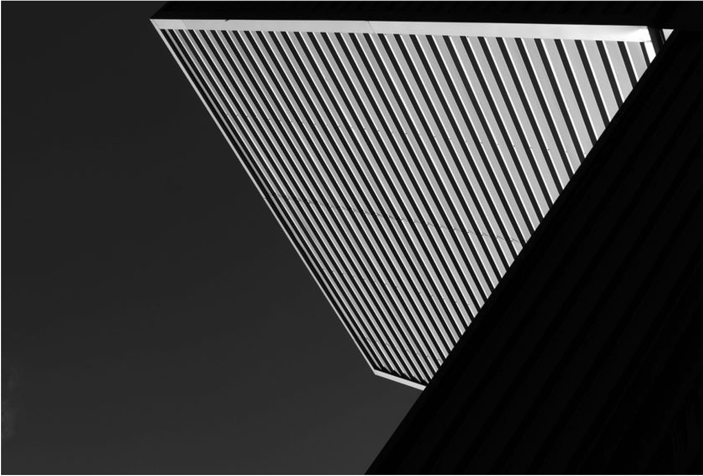 Form and function，