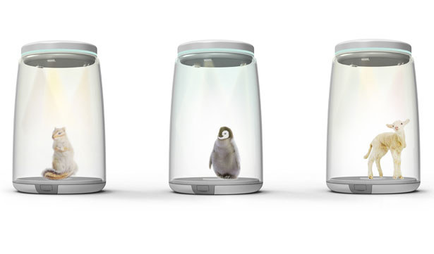 children，Housing design，product design，originality，