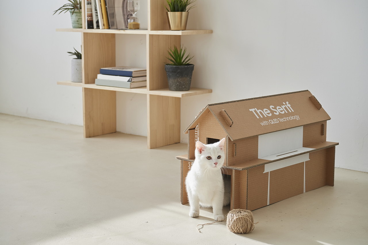 Pets，TV packaging，Samsung，environment protection，Ecological packaging，