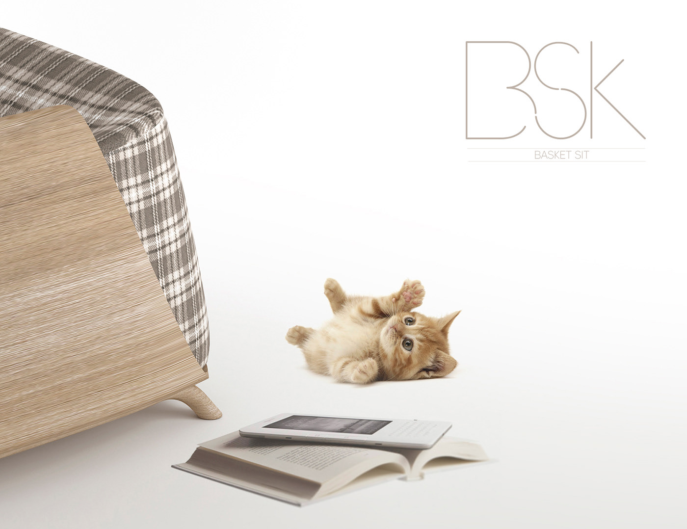 chair，BSK，Sofa chair，Render，