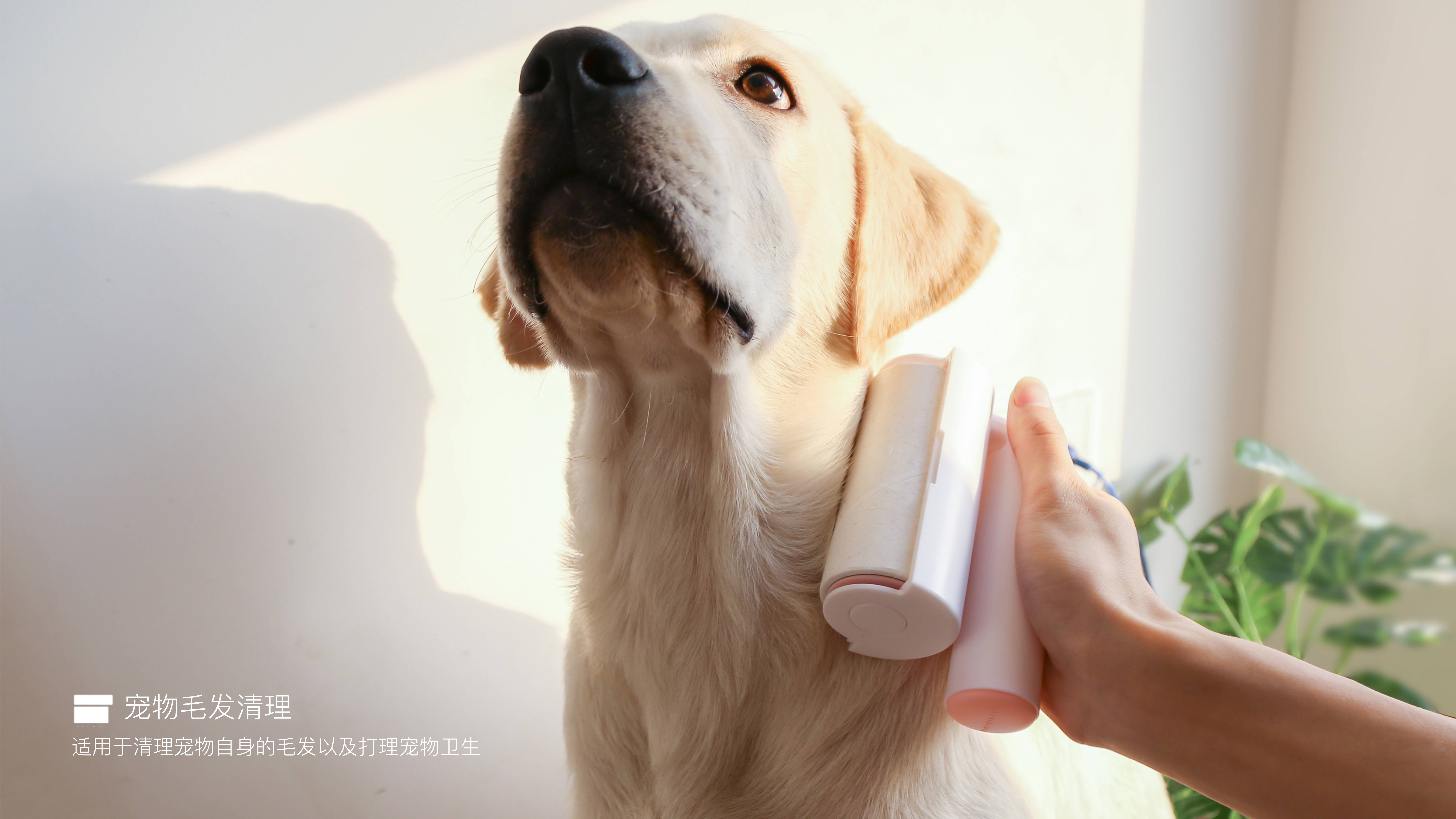 Hair sticking device，Dust removal brush，