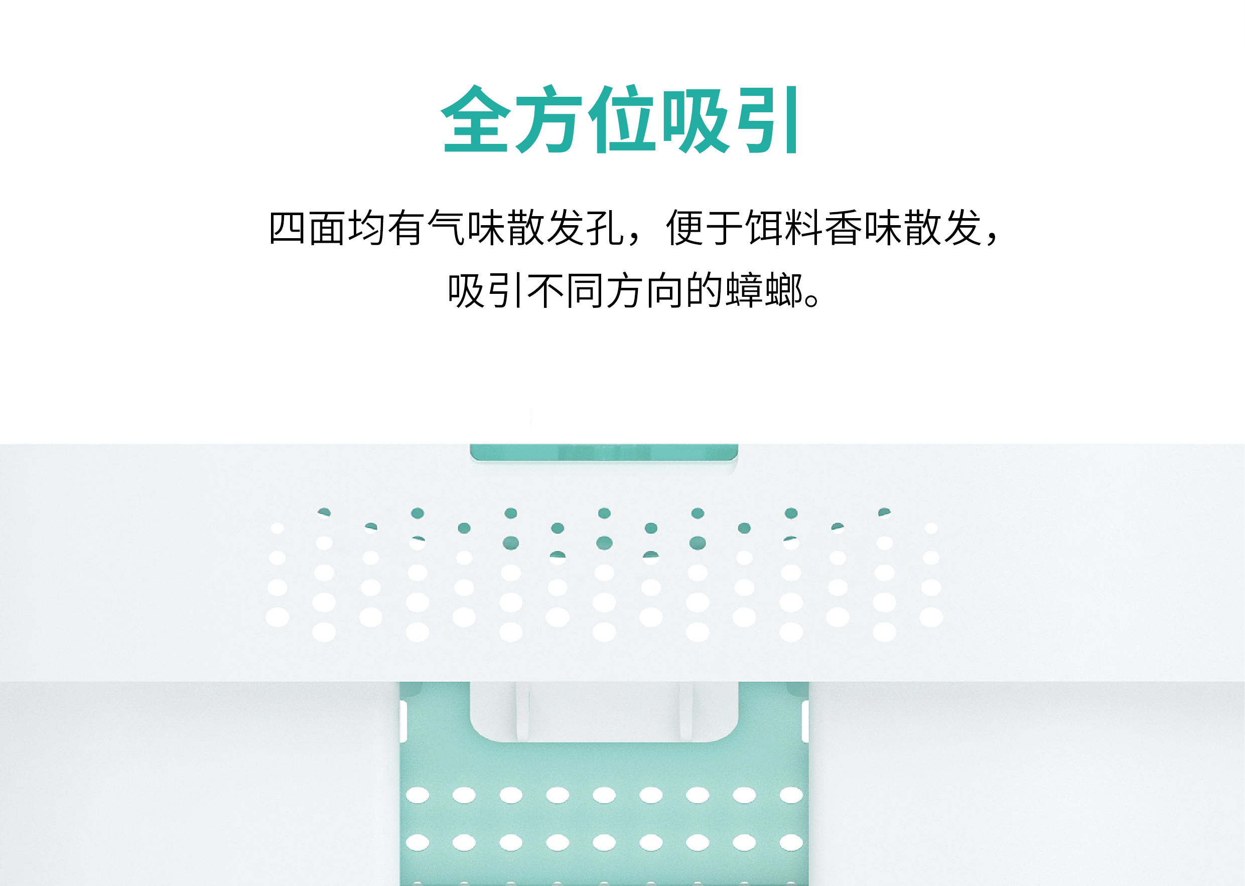 Weijiasheng，Sheng Qiao，SOOOQ，Cockroach box，