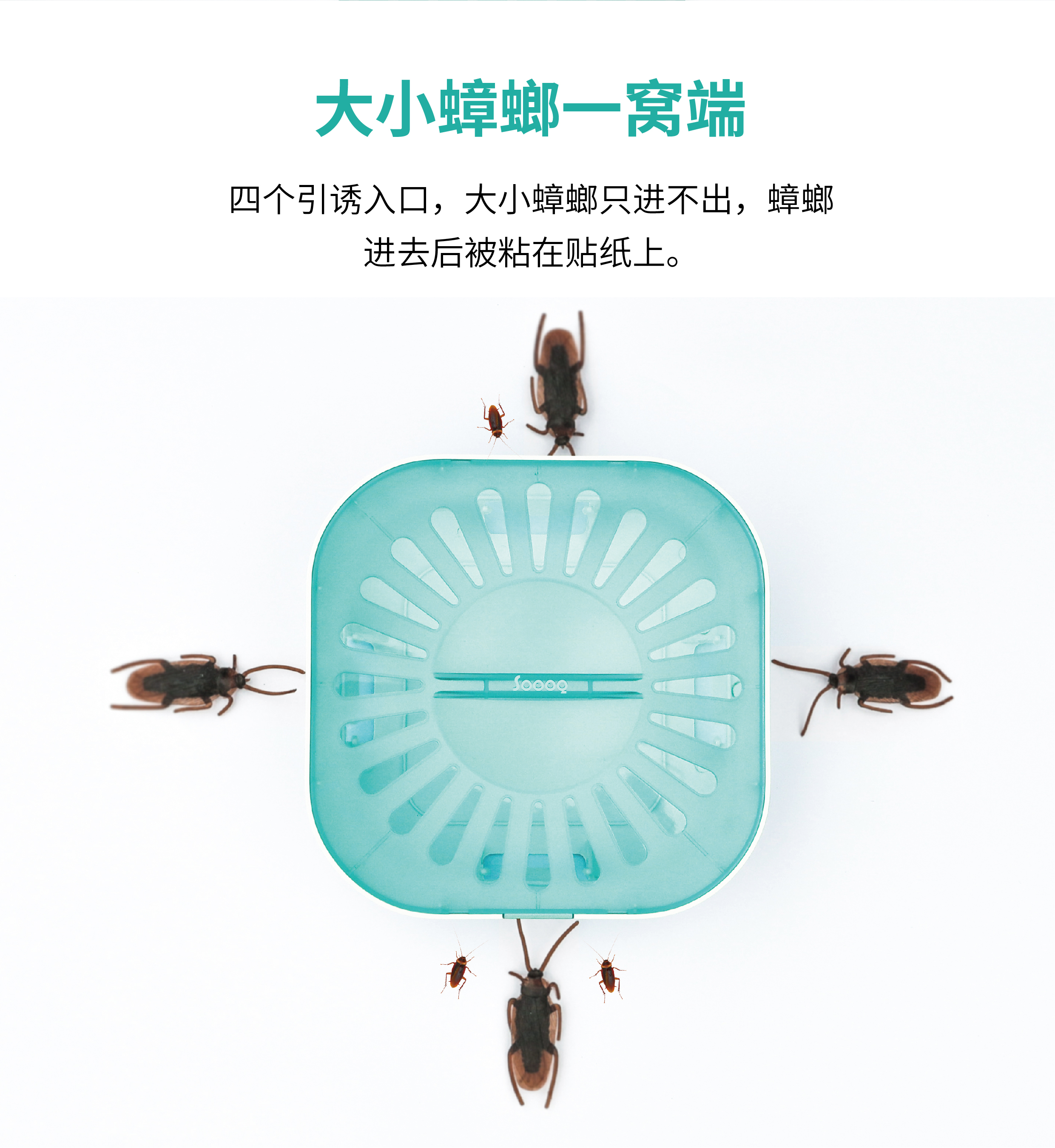 Weijiasheng，Sheng Qiao，SOOOQ，Cockroach box，