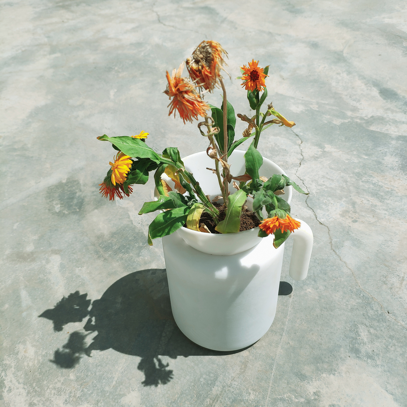 Flowerpot，