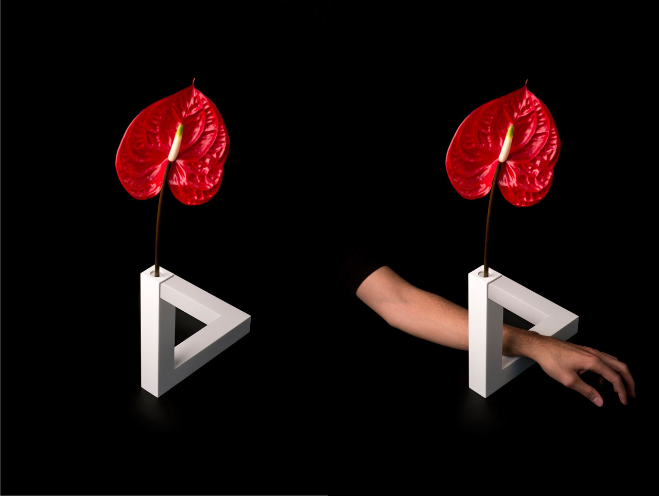 vase，Impossible Triangle，Gap，illusion，