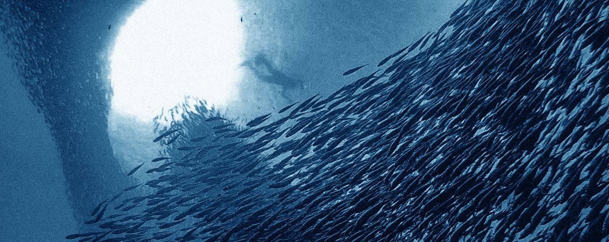 Yonghwan Kim，Deep Dive，black，fine，