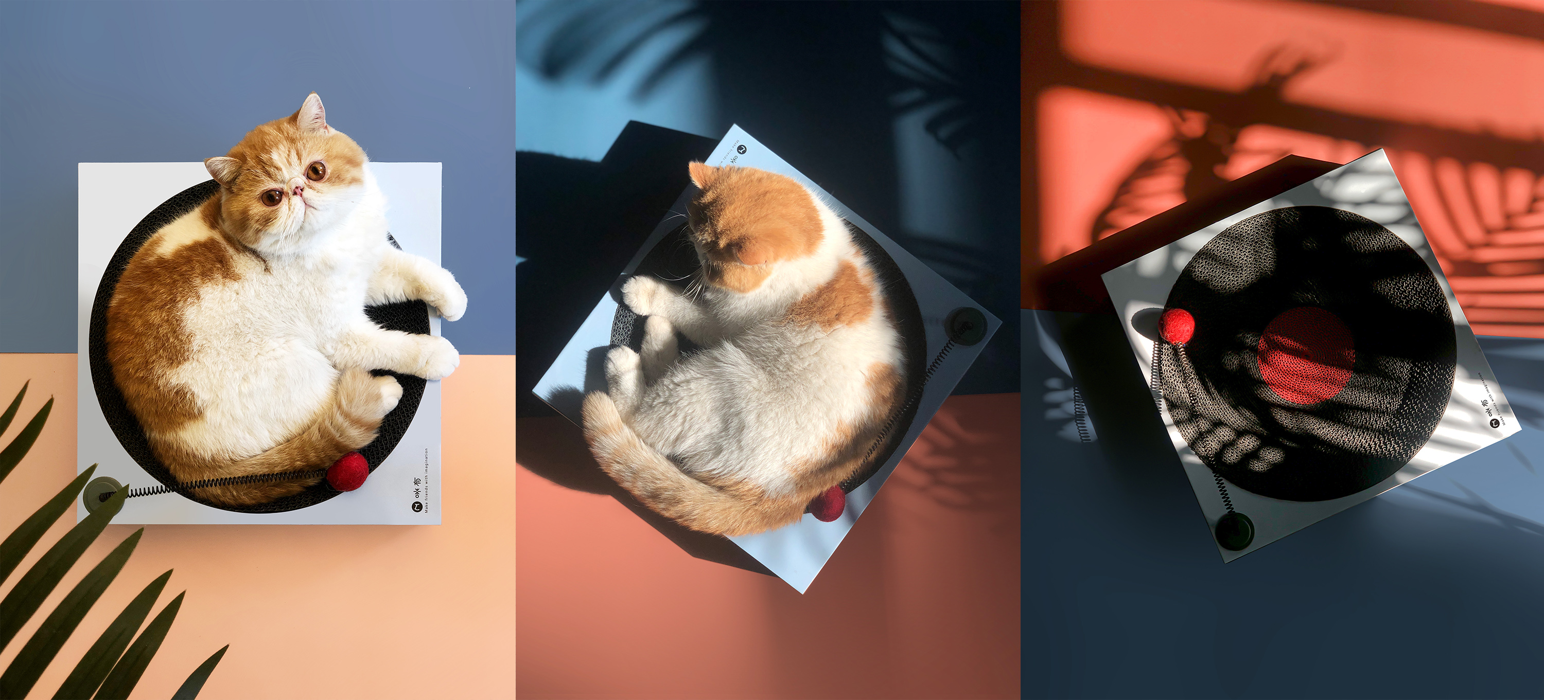 Mi you，Pet Supplies & Pet，cat，dog，Cat products，Pets，