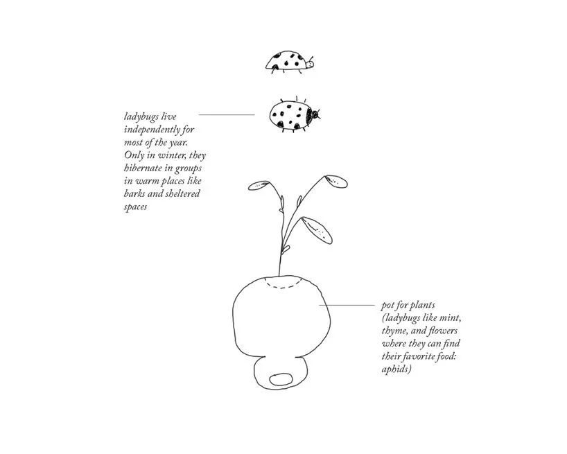 insect，Architecture，Micro building，Architectural design，