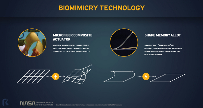 automobile，Lamborghini，vehicle，vehicle，