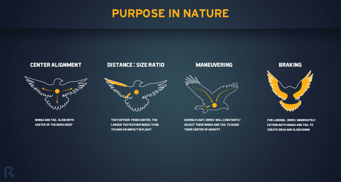 automobile，Lamborghini，vehicle，vehicle，