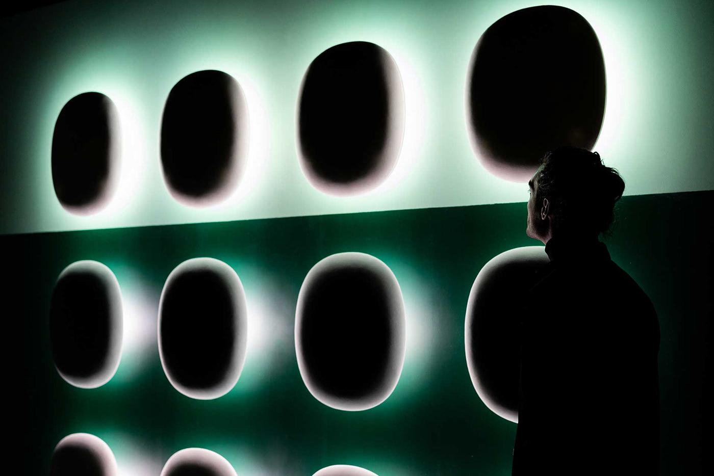 a chandelier，tulips，BLOSSOM - Bogaerts，