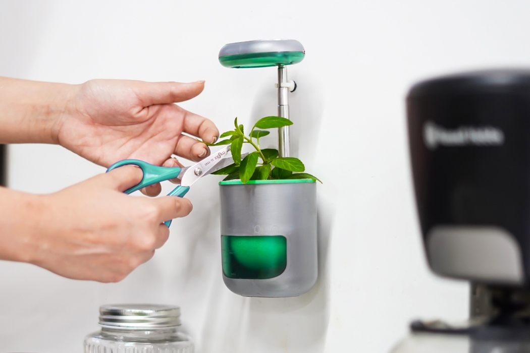 Portable，Flower watering device，Small，Iron absorption，gardening，