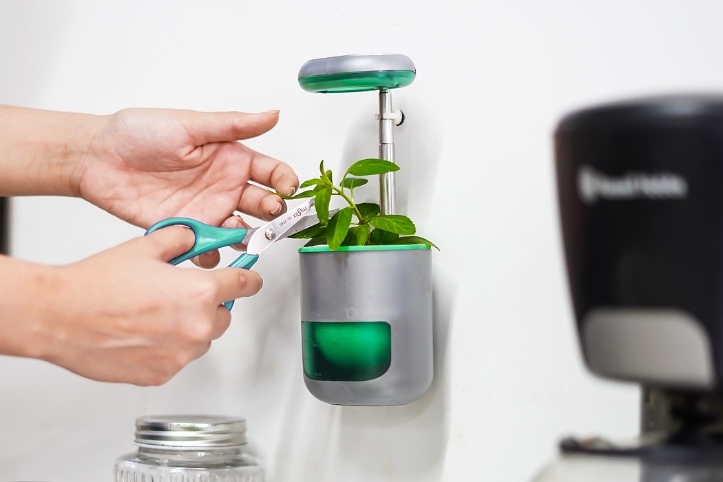 Portable，Flower watering device，Small，Iron absorption，gardening，