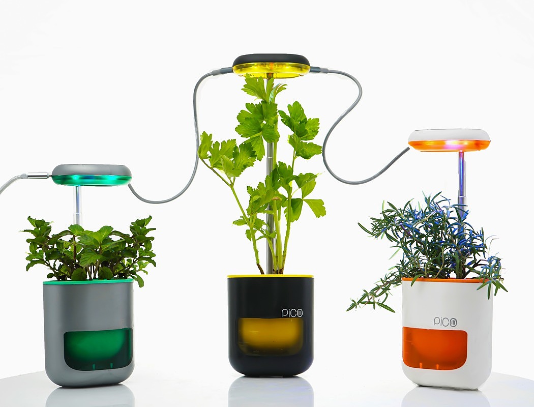 Portable，Flower watering device，Small，Iron absorption，gardening，