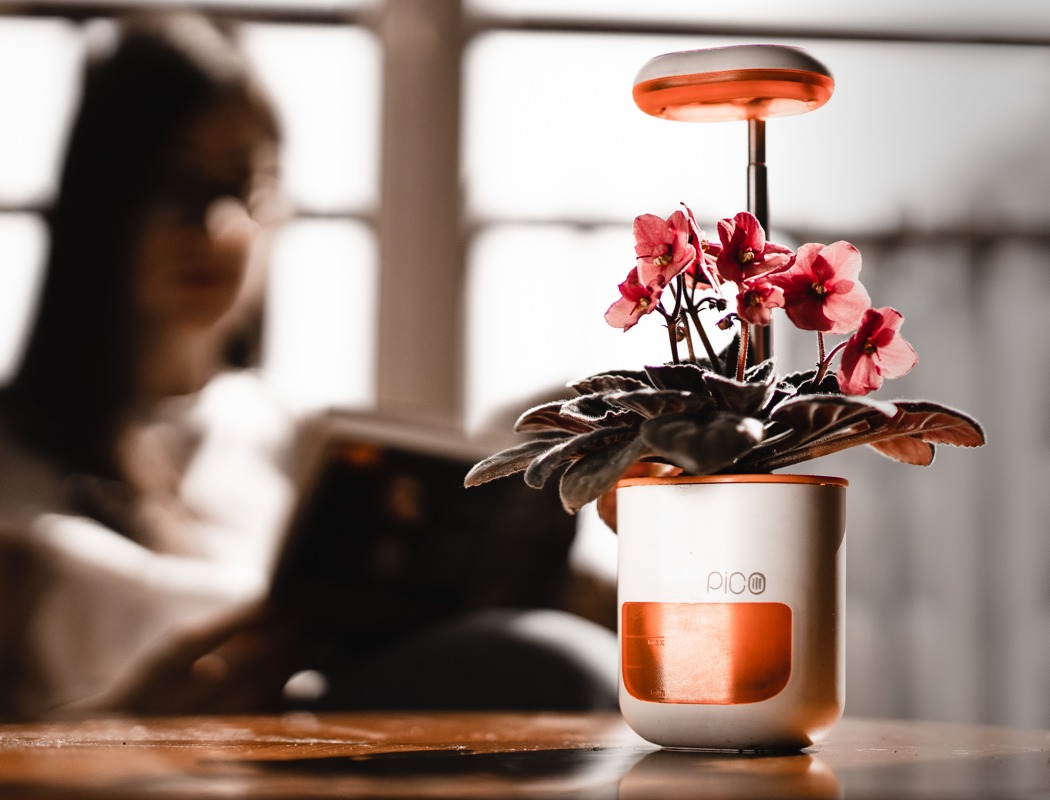 Portable，Flower watering device，Small，Iron absorption，gardening，