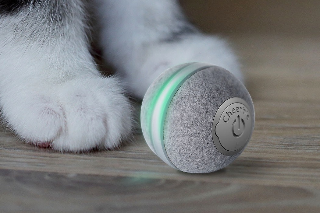 Pets，Cheerble Playboard，Kitty，Cheerble，intelligence，Toys，