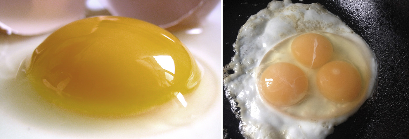 industrial design，product design，Egg Cooker，Breakfast machine，