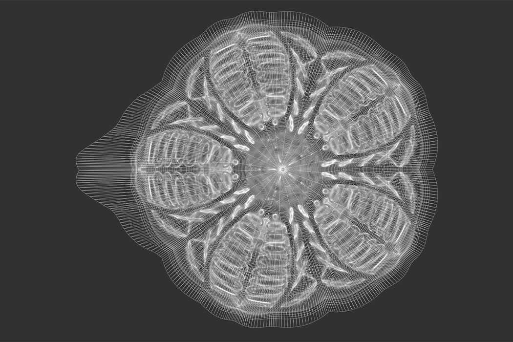 packing bag，environment protection，sustainable，Aesthetic feeling，