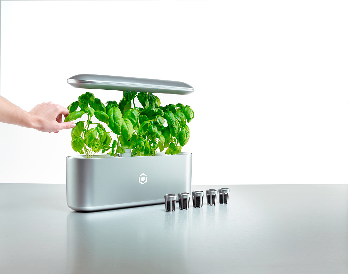 plant，garden，indoor，an electric appliance，