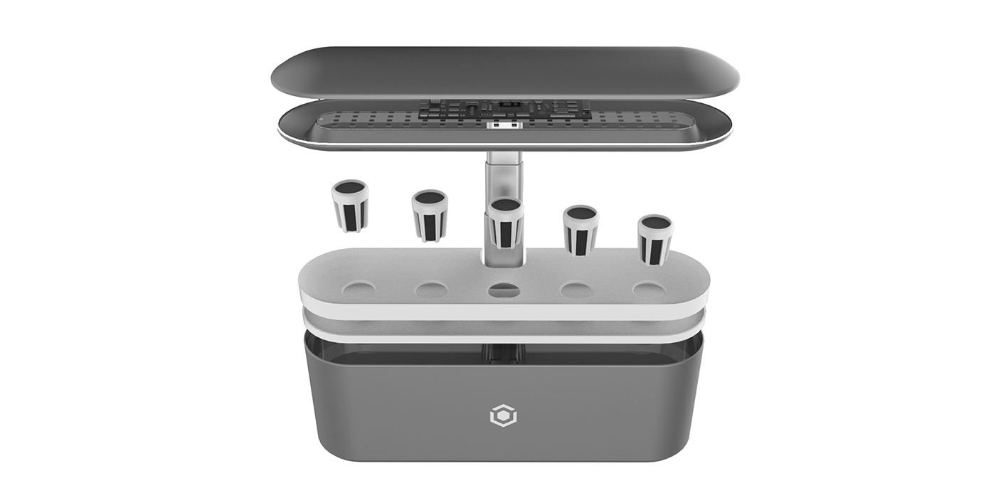 plant，garden，indoor，an electric appliance，