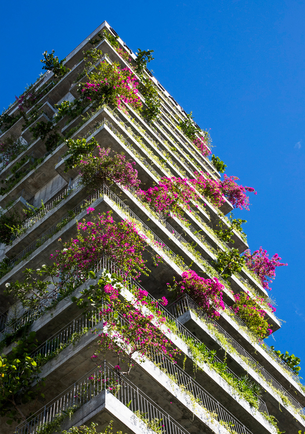 balcony，Architecture，apartment，concept，residence，