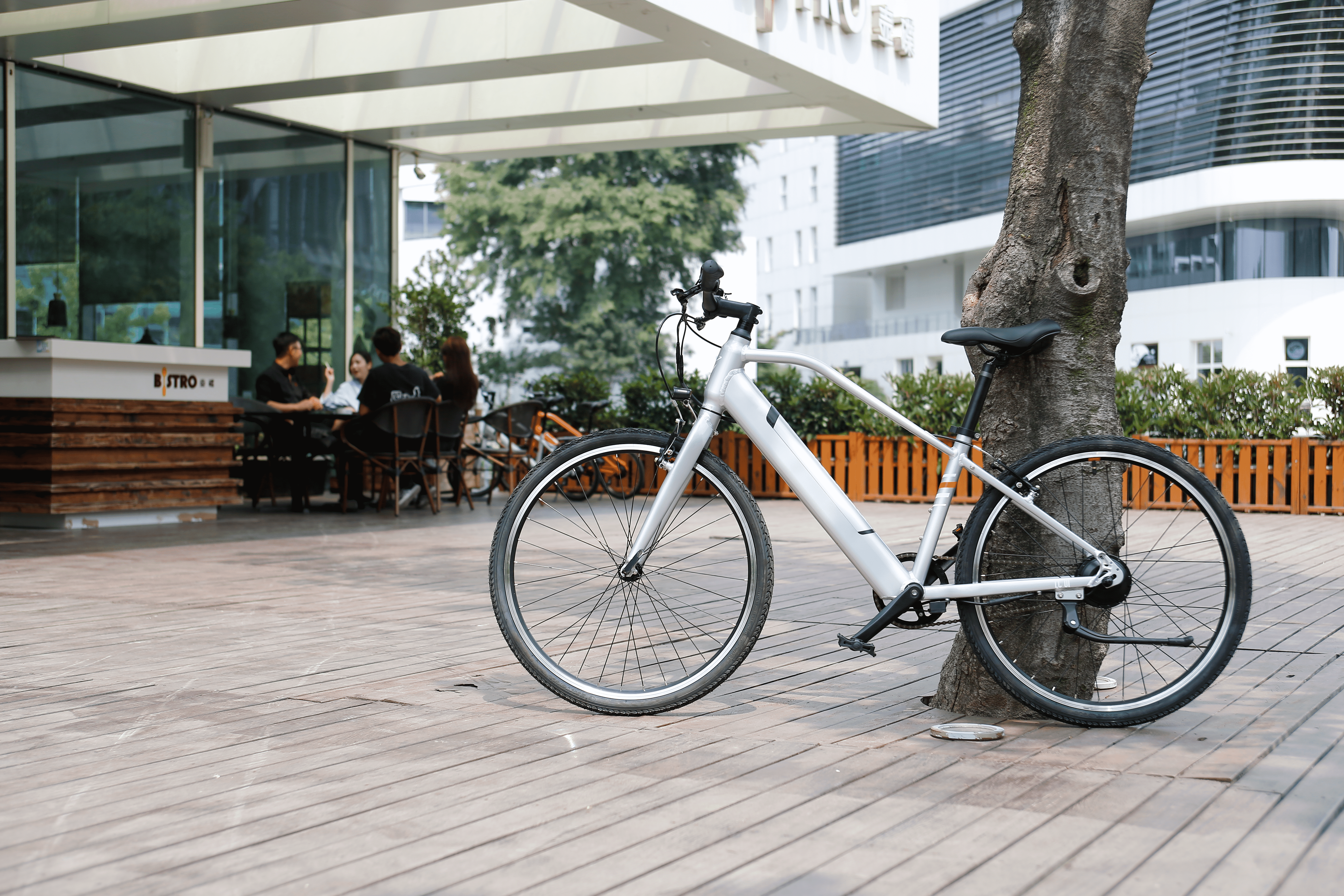 Lithium assisted bicycle, new national standard electric bicycle，