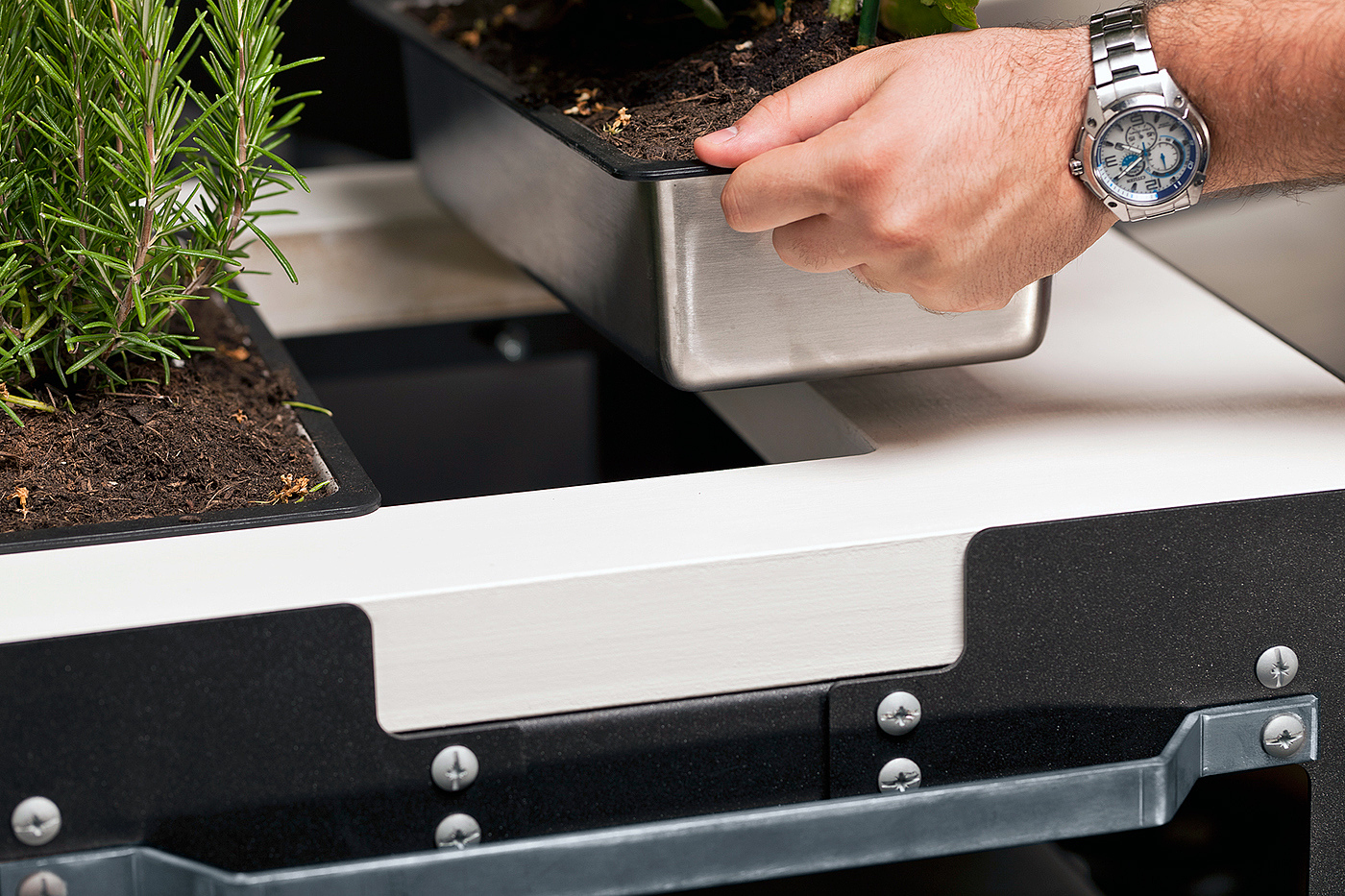 product design，industrial design，Kitchen design，Culinary art，whole，