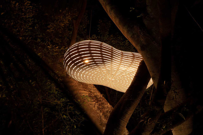 Cloud + Ebb，lamps and lanterns，woodiness，